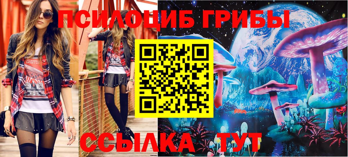 Пугачёв  Галлюциногенные грибы MAGIC MUSHROOMS  Вход с VPN 
